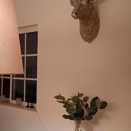 Casa Clerigo Espartal 알제주르